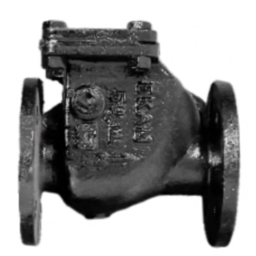Cast Iron NRV PN 1.6 (Flanged)